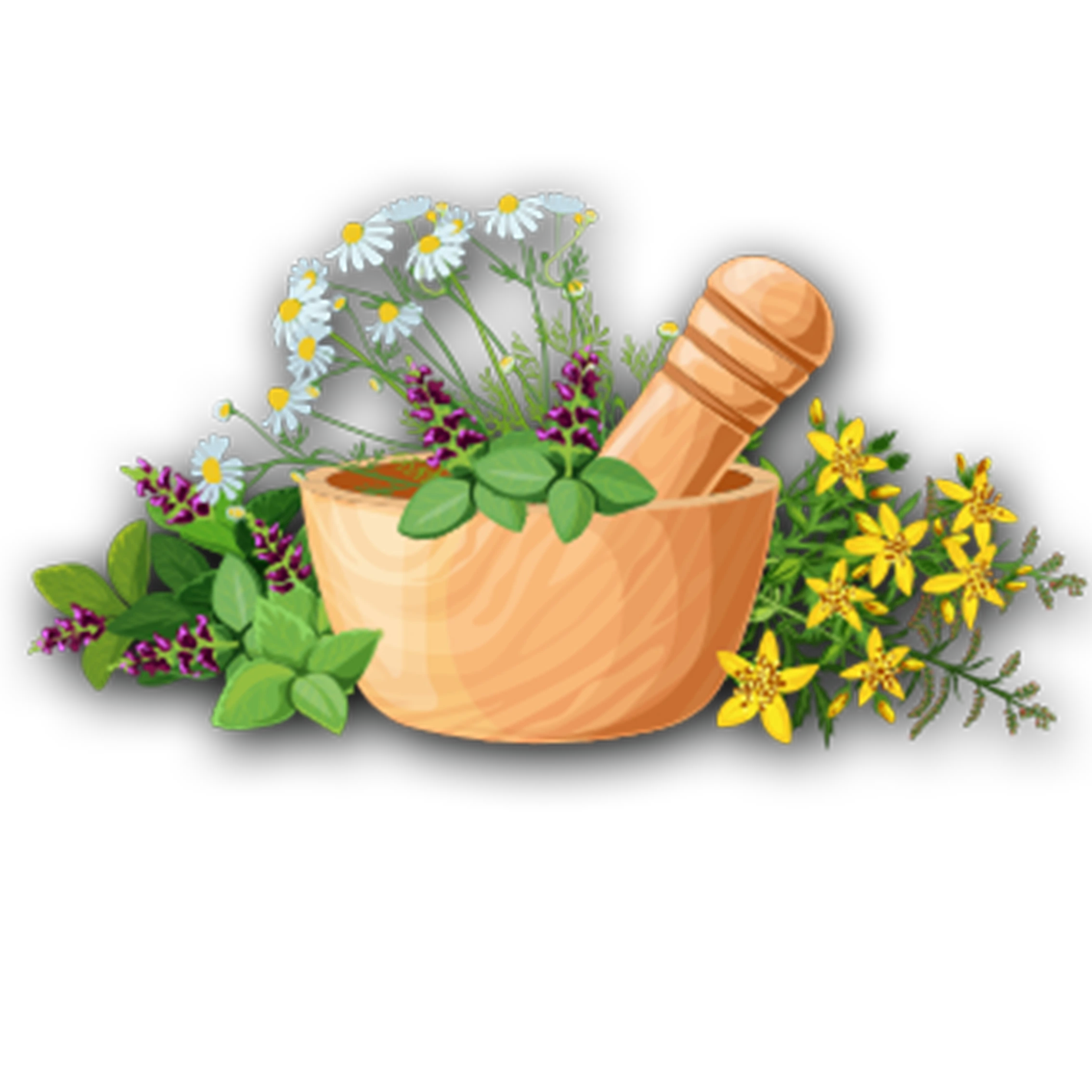 گیاهان معطر و سبزیجات خشک