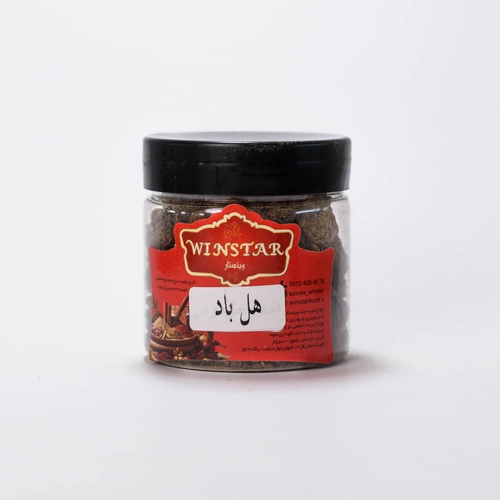 هل باد وینستار - پت ۱۲۰ گرم